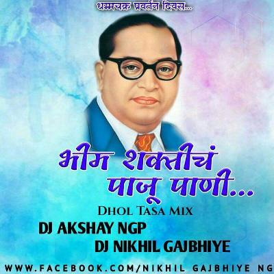 BHIM SHAKTI CH PAJU PANI(DHOL TASHA MIX)-DJ AKSHAY NGP & DJ NIKHIL GAJBHIYE
